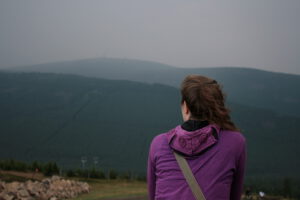 2013.21