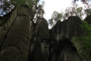 Tsechie11