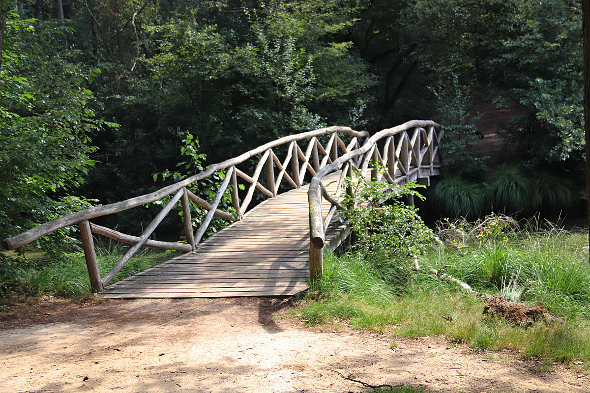 Gaasterland wandeltocht2