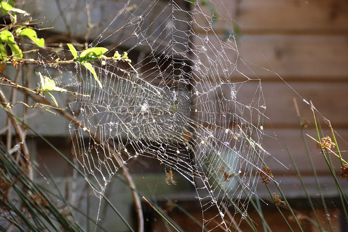 web3