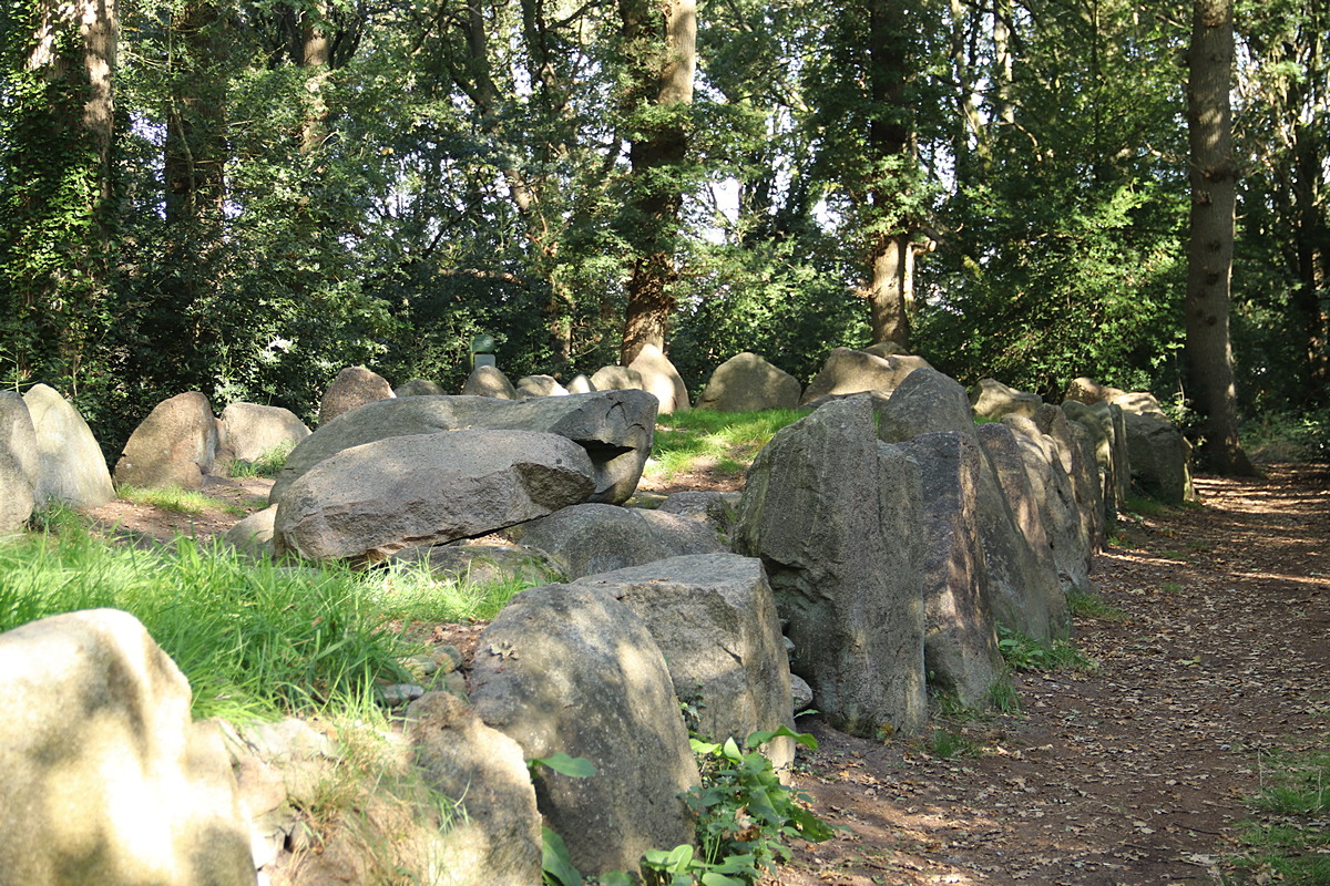 D43.5