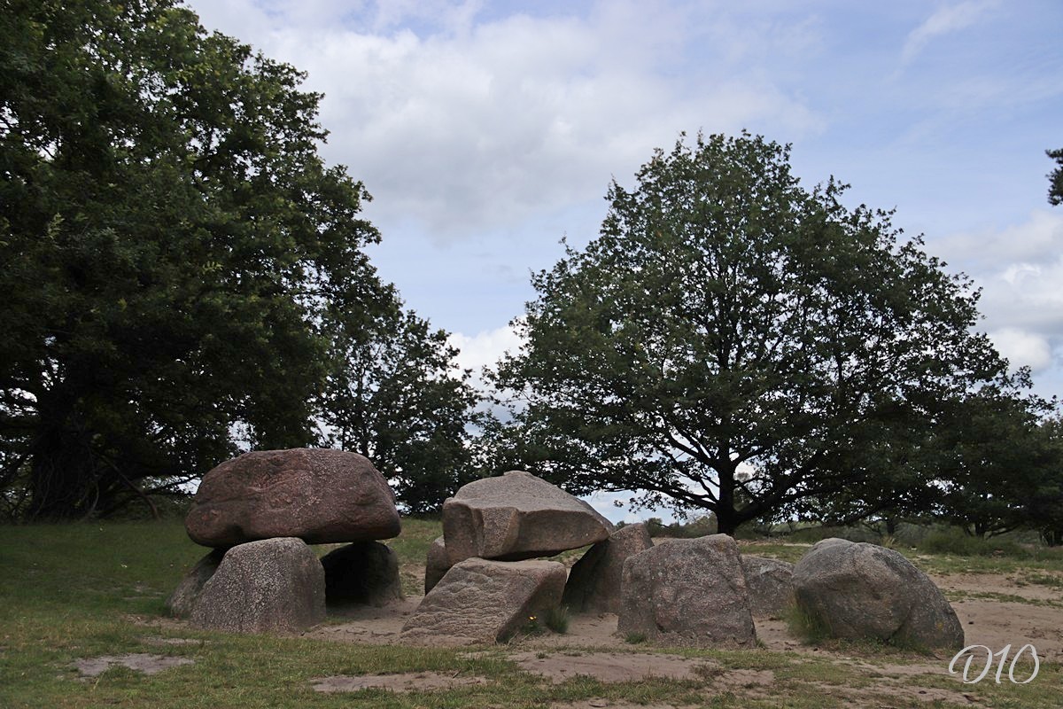 D10 foto 1