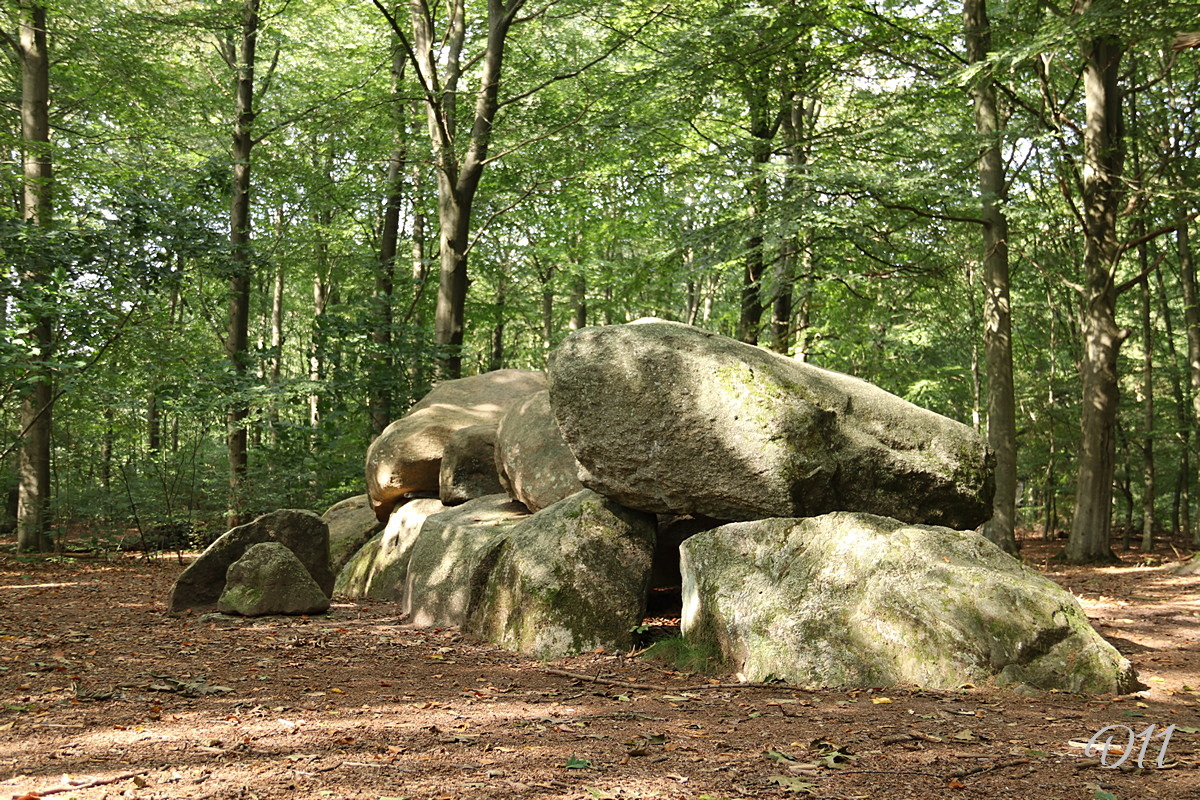 D11 foto 1
