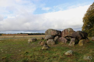 D15 foto 1