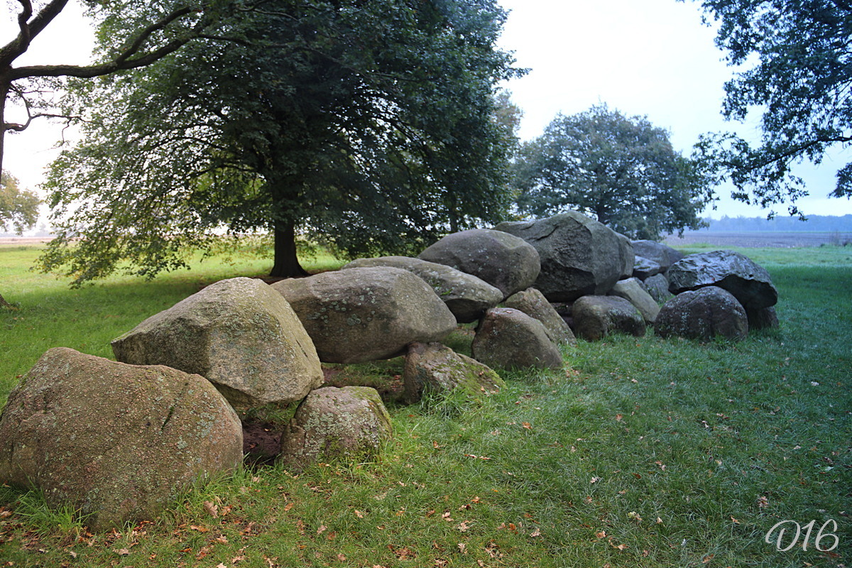 D16 foto 2