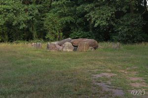 D20 foto 1