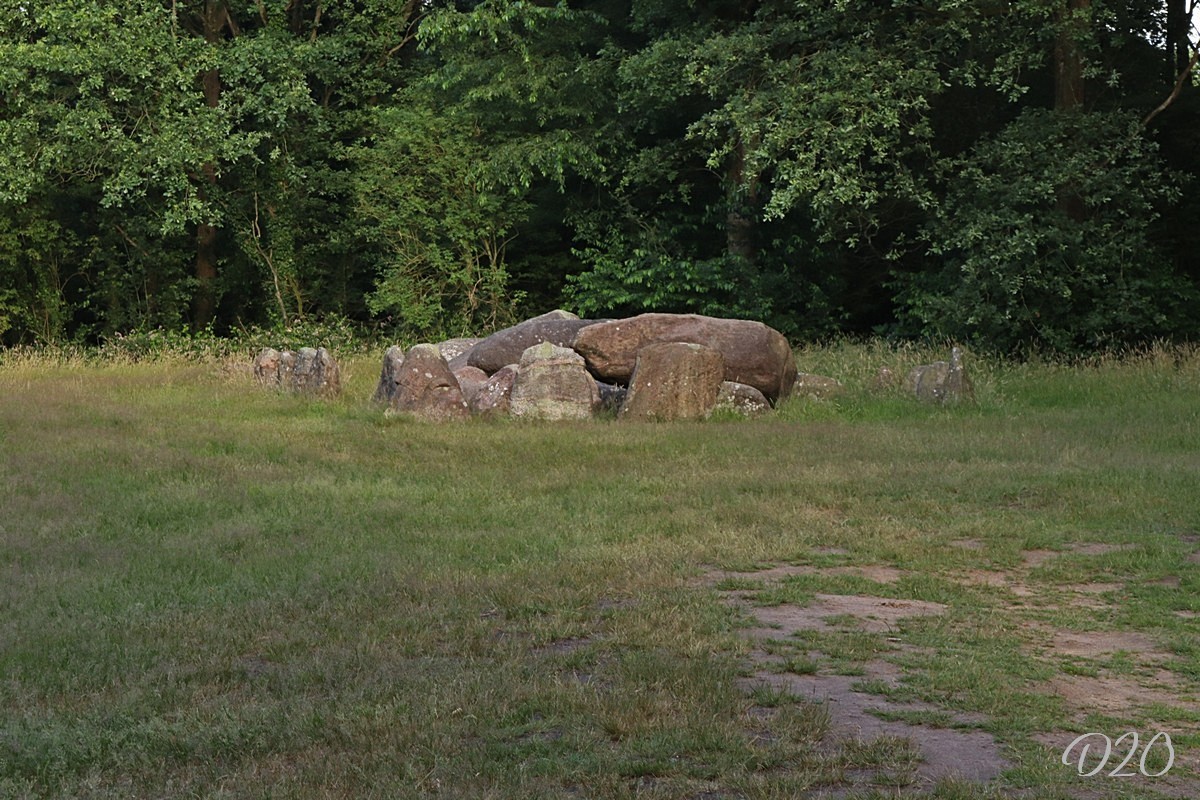 D20 foto 1