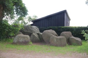 D3 foto 1