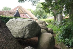 D3 foto 2