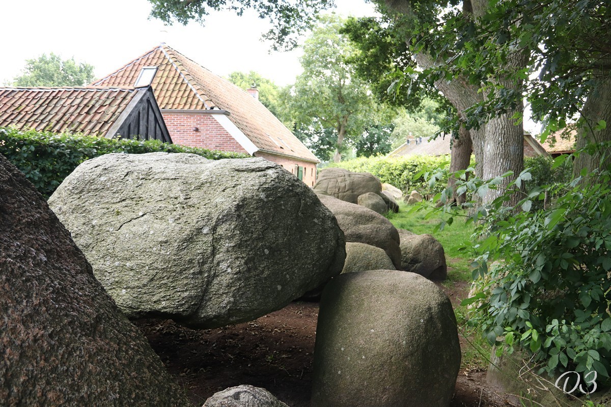 D3 foto 2