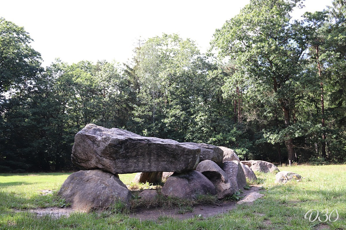 D30 foto 1