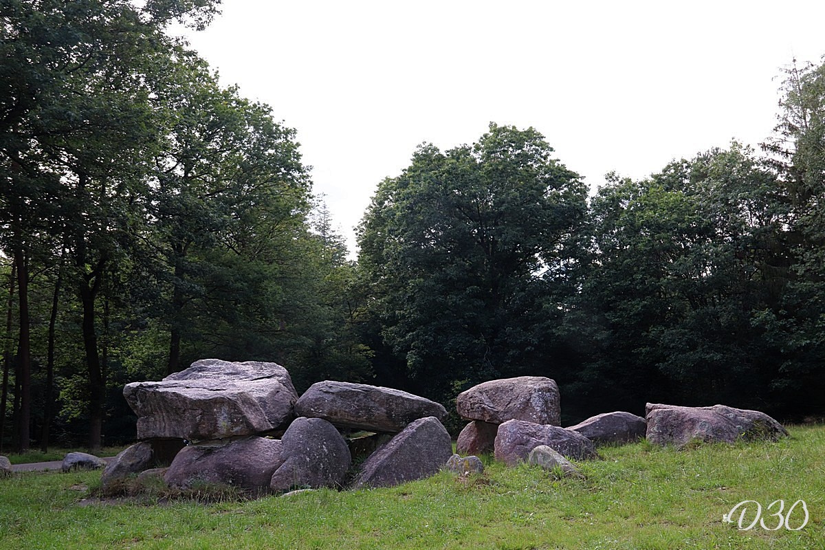 D30 foto 2