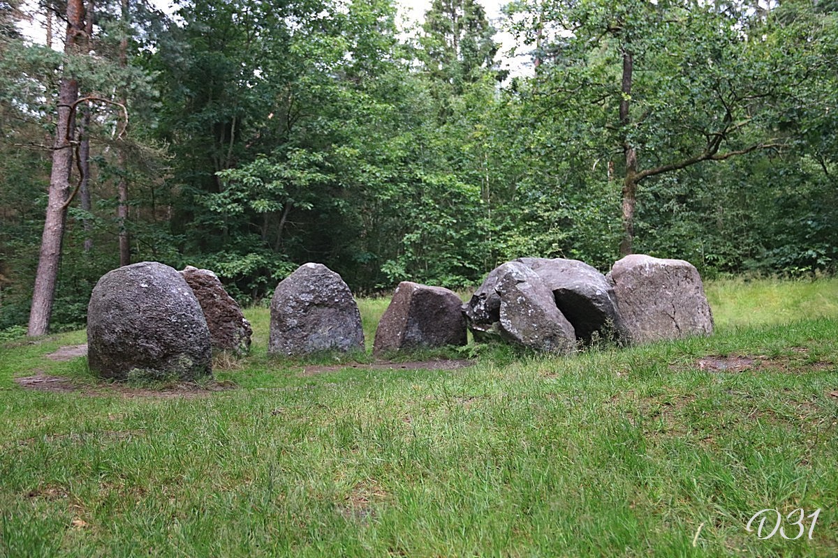 D31 foto1