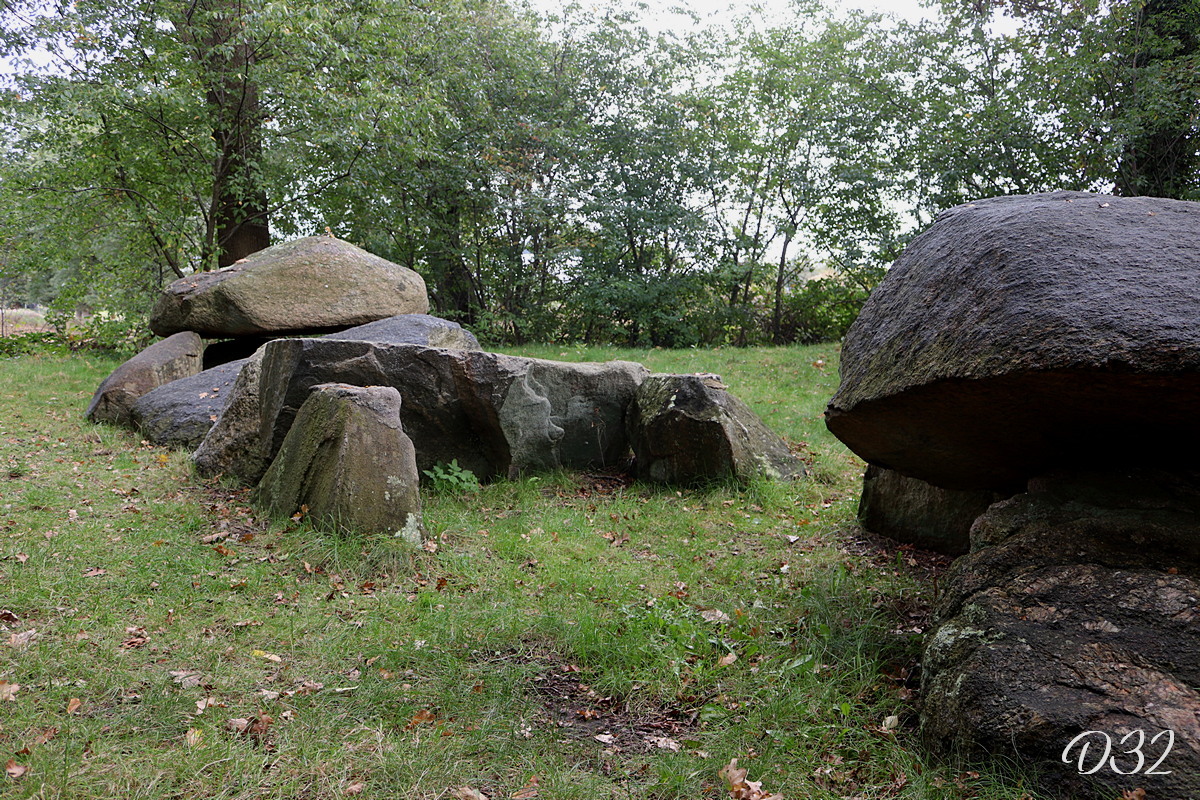 D32 foto 2