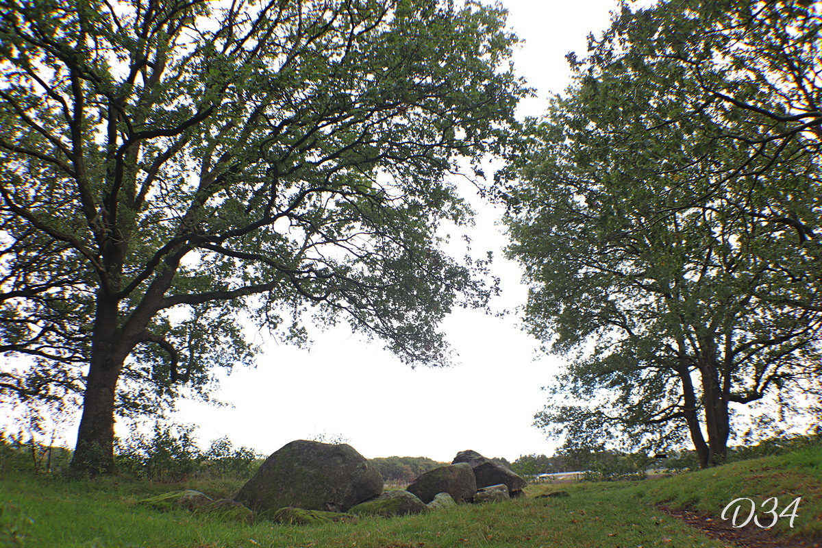 D34 foto 2