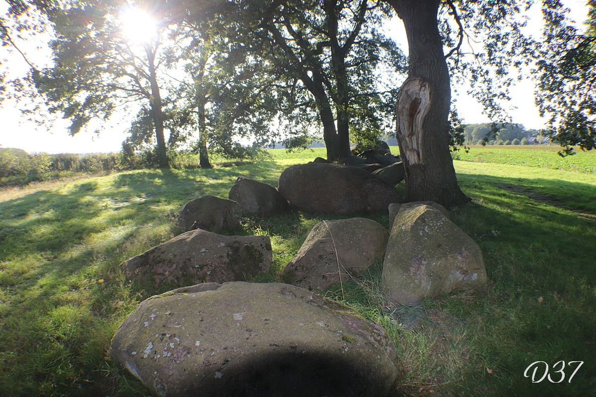 D37 foto 1