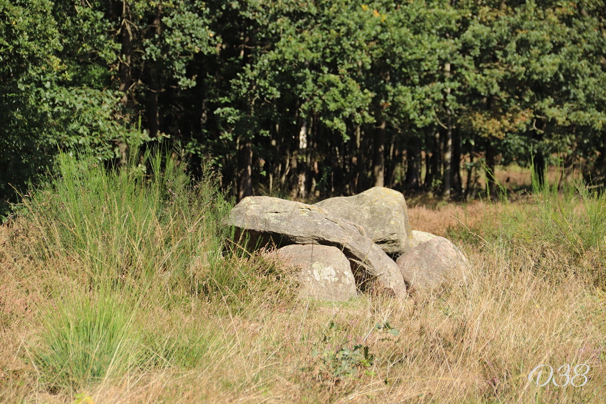 D38 foto 1
