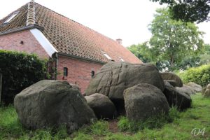 D4 foto 1