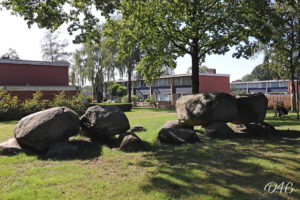 D46 foto 2