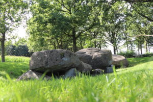 D5 foto 1