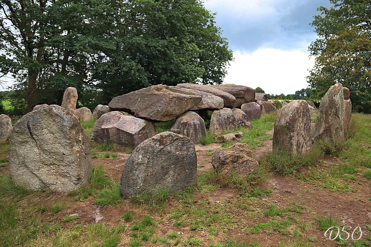 D50 foto 1