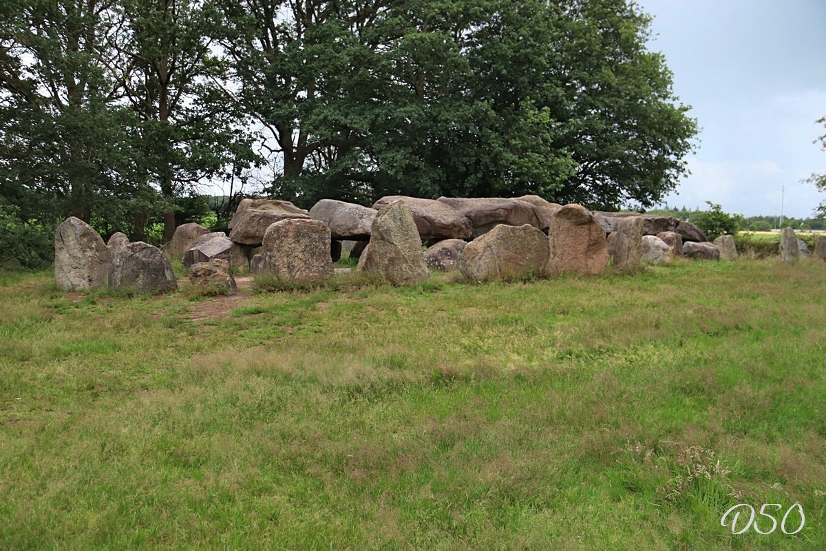 D50 foto 2