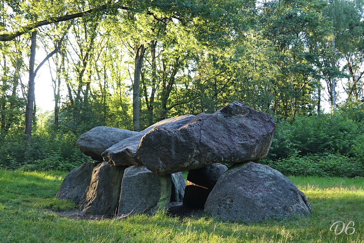 D6 foto 1