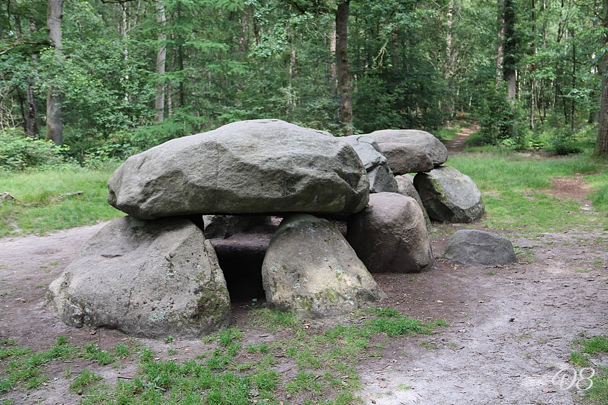 D8 foto 1