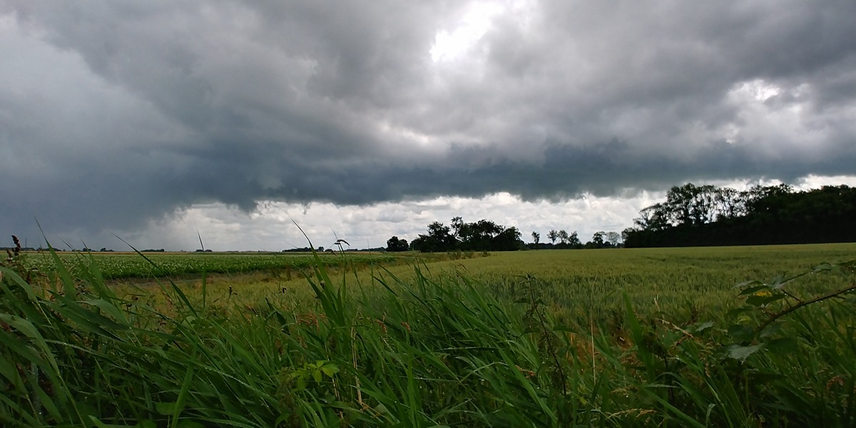 Weer-Warffum3