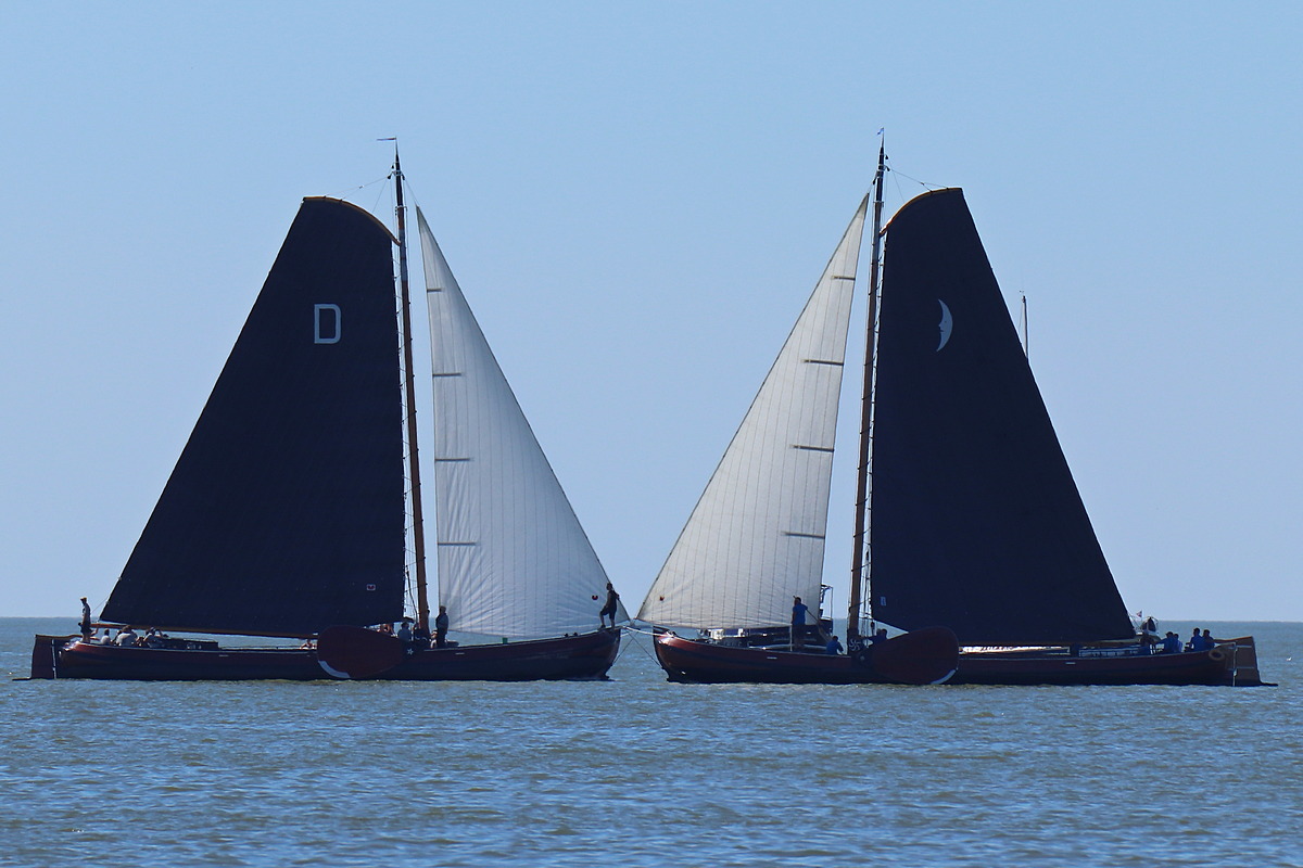 SKS1